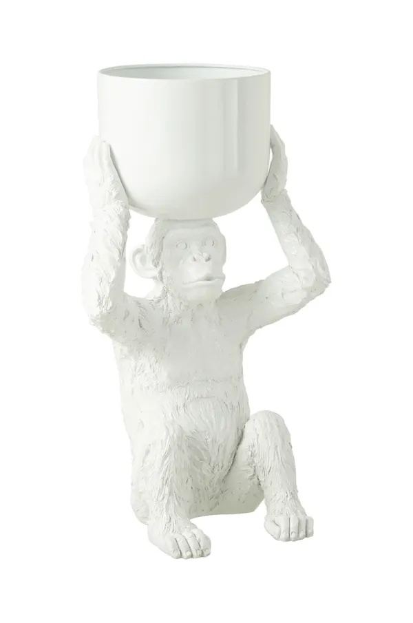 J-Line J-Line Monkey bela barva