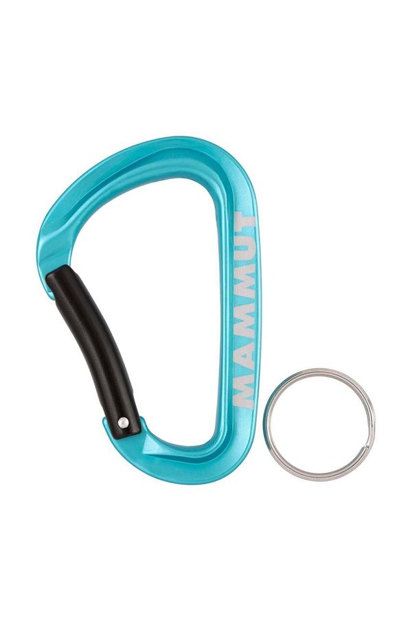 Mammut Karabin Mammut Mini Carabiner Workhorse Keylock L