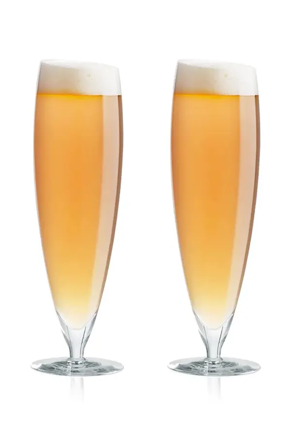 Eva Solo Komplet kozarcev za pivo Eva Solo 0,5 L 6-pack