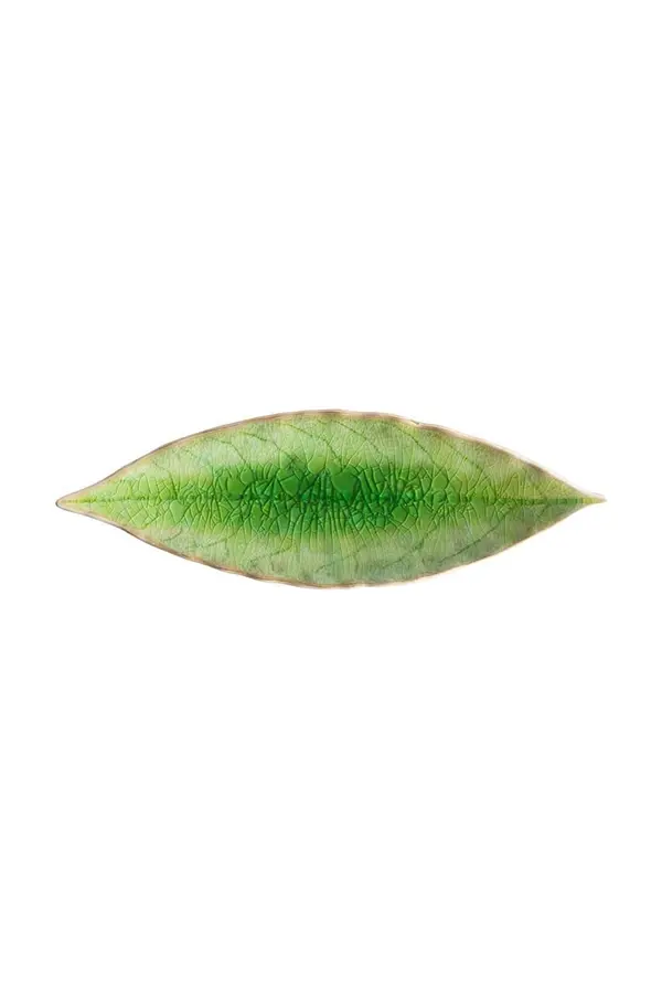 Costa Nova Komplet krožnikov Costa Nova Riviera Laurel 18 cm 6-pack