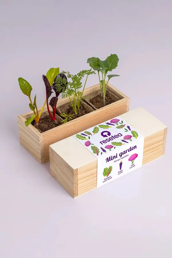 Resetea Komplet za gojenje rastlin RESETEA Mini garden Strange vegetables 9,8 x 8,8 x 8,8 cm