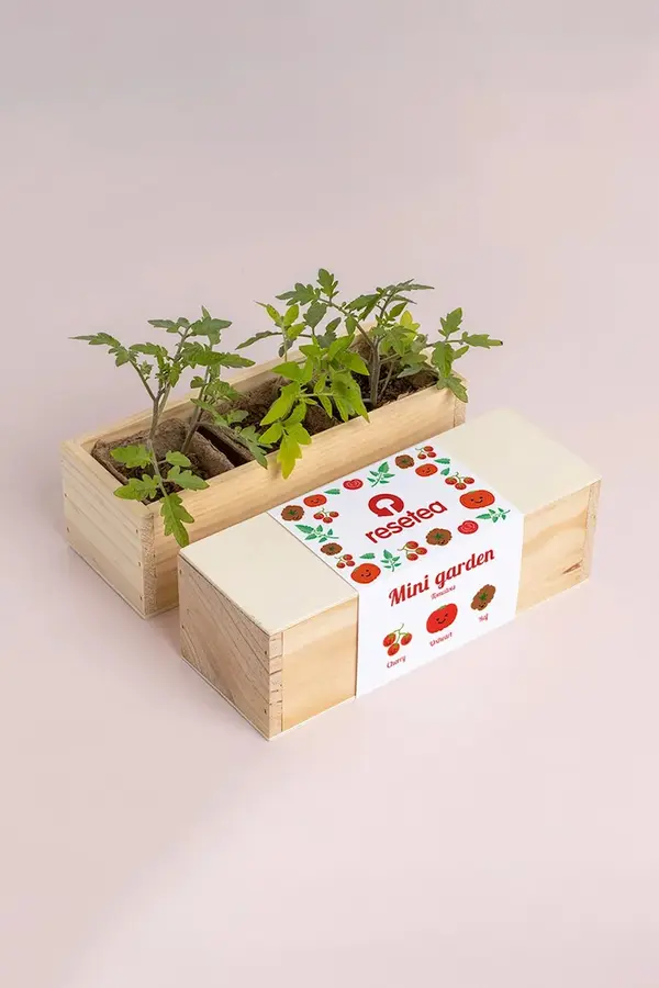Resetea Komplet za gojenje rastlin RESETEA Mini garden Tomatoes 21 x 7,8 x 6,5 cm