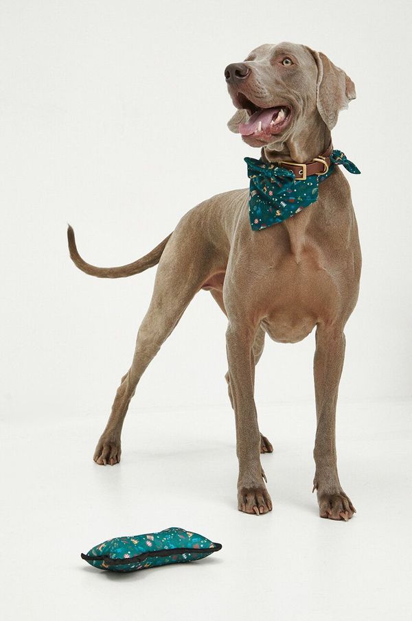 Medicine Komplet za hišnega ljubljenčka Medicine