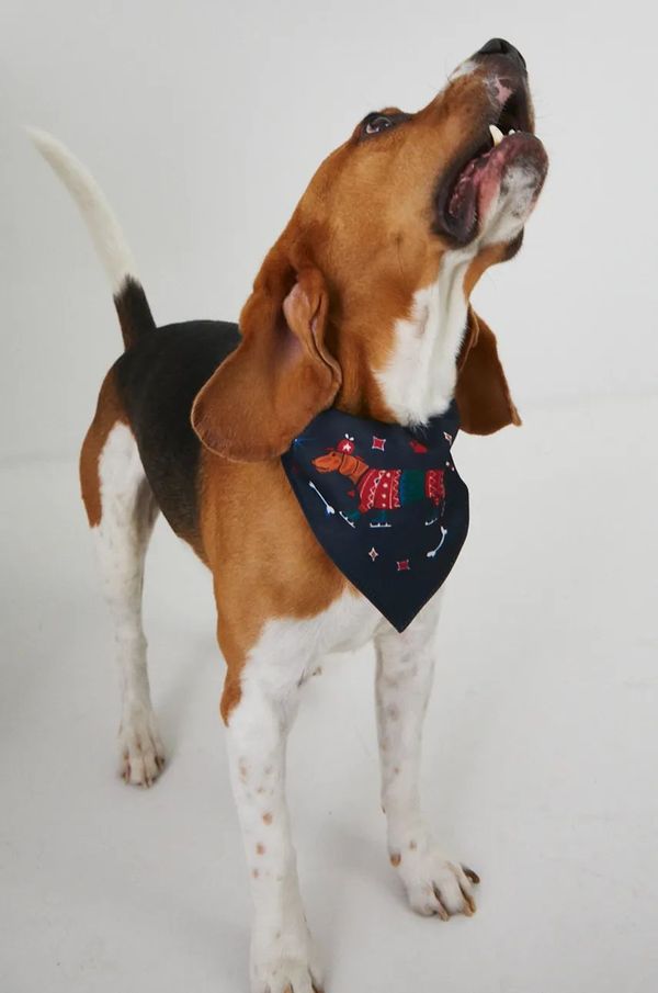 Medicine Komplet za hišnega ljubljenčka Medicine