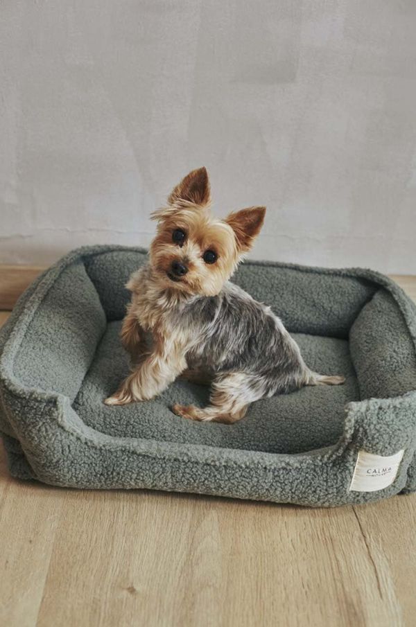 Calma House Ležišče za hišnega ljubljenčka Calma House Henry