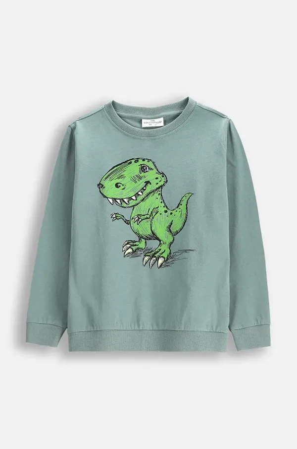 Coccodrillo Otroška bombažna majica z dolgimi rokavi Coccodrillo zelena barva, EVERYDAY BOY