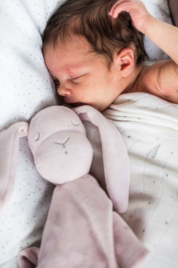 Effiki Otroška igrača iz plišastega materiala Effiki