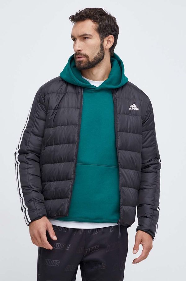 adidas Puhovka adidas moška, črna barva