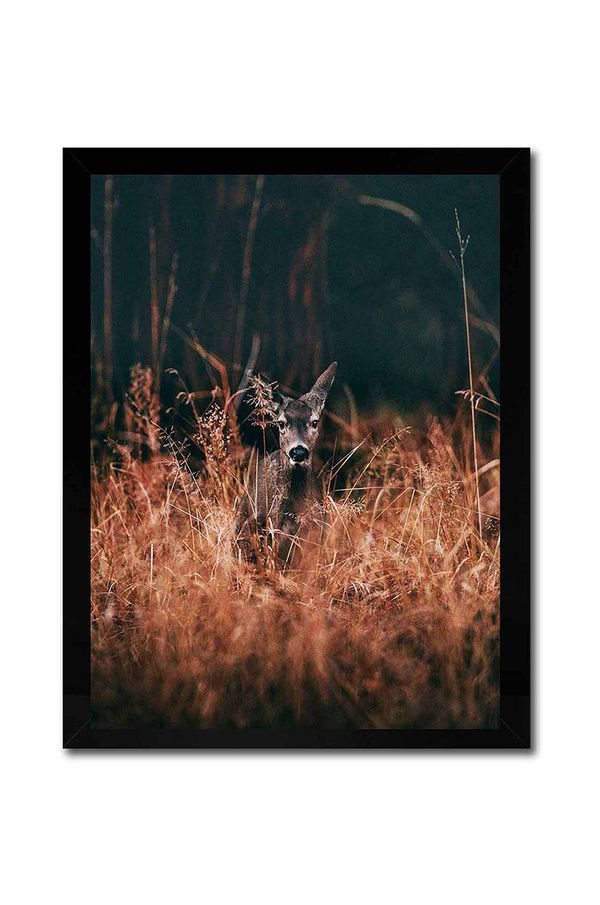 Inne Reprodukcija na platnu v okvirju - author unknown