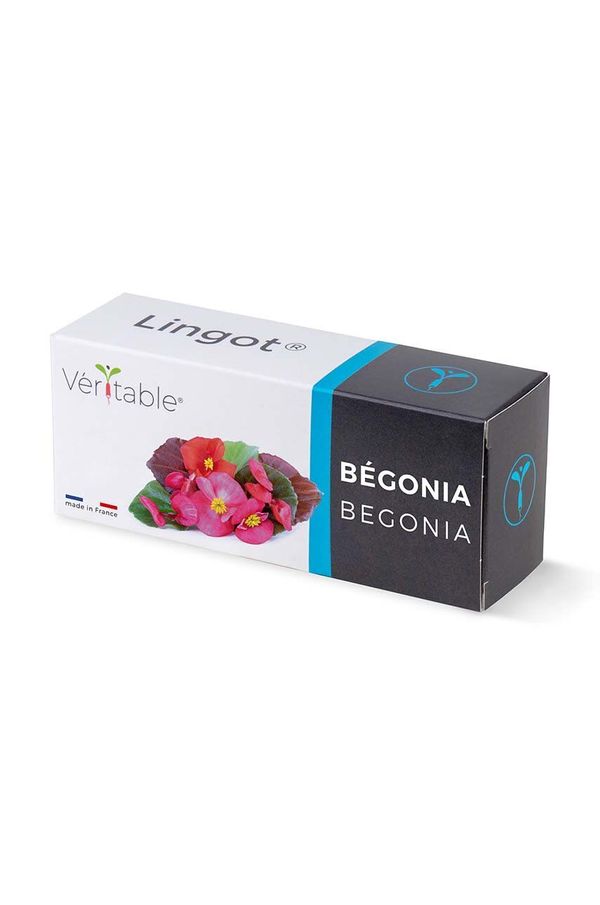 Veritable Semenski vložek Veritable Begonia