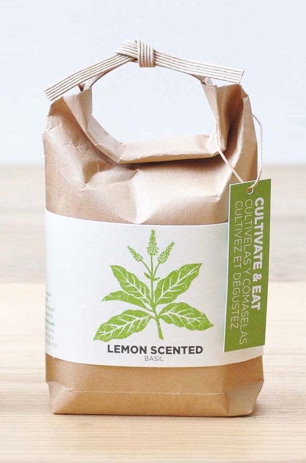 Noted Set za gojenje rastlin Noted Cultivate & Eat- Lemon Scented Basil