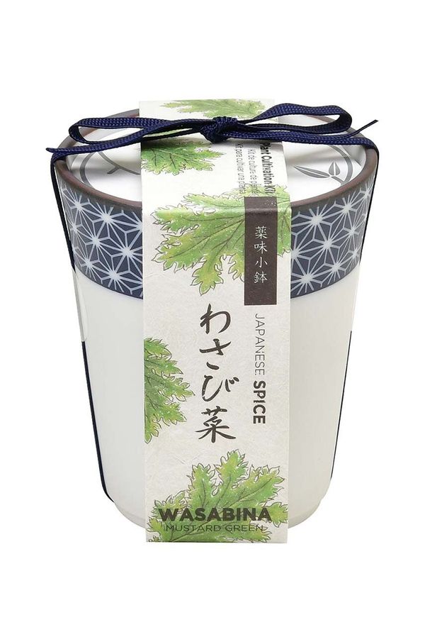 Noted Set za gojenje rastlin Noted Yakumi, Wasabina