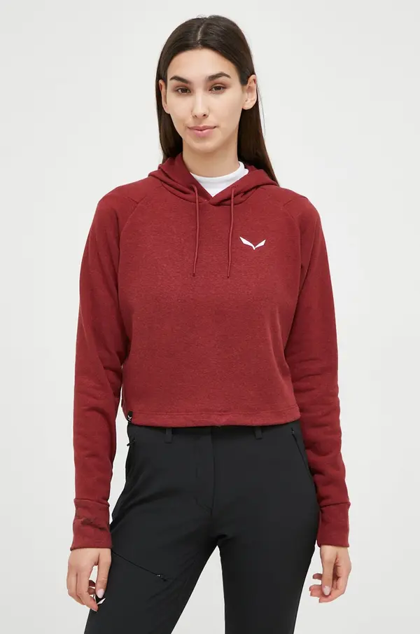 Salewa Športni pulover Salewa Lavaredo Hemp