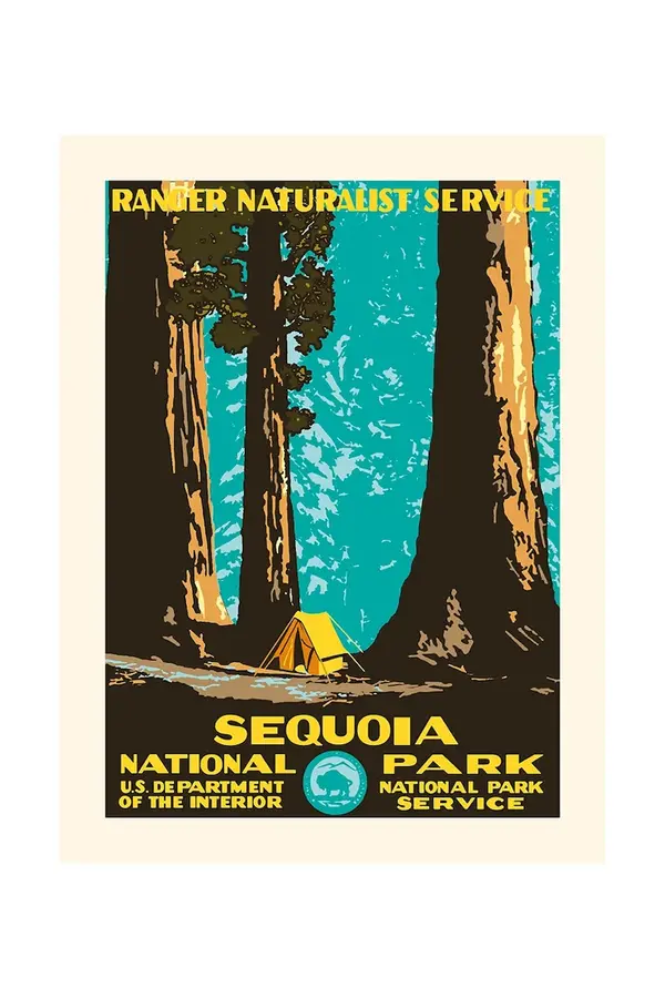 PLAKAT Stenska dekoracija PLAKAT Sequoia 30 x 40 cm