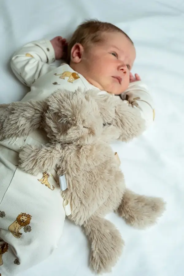 That's mine That's mine plišasta igrača / ninica za dojenčke Houston heavy teddy mini