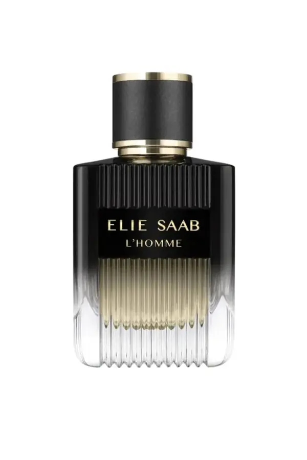 Elie Saab Toaletna vodica ELIE SAAB ES L'Homme EDP 100ml