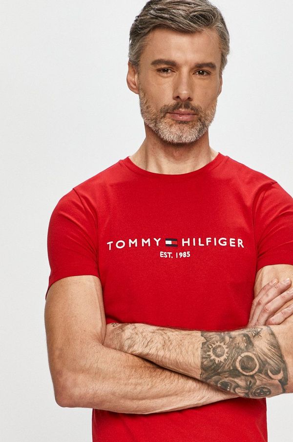 Tommy Hilfiger Tommy Hilfiger t-shirt