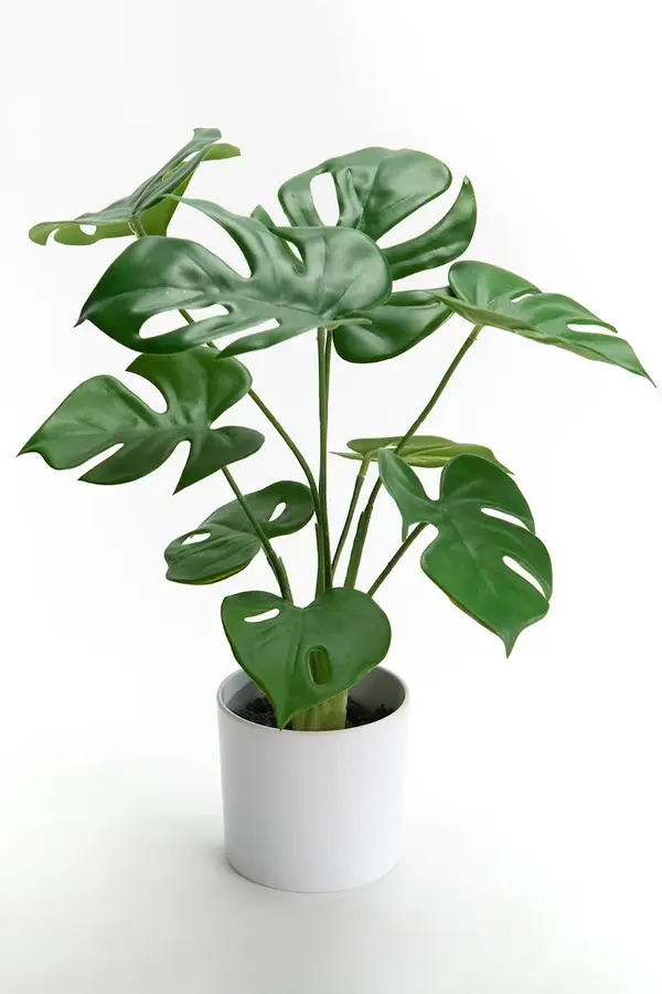 Umetna rastlina v loncu home & lifestyle 10 x 39 cm Umetna rastlina v loncu home & lifestyle 10 x 39 cm