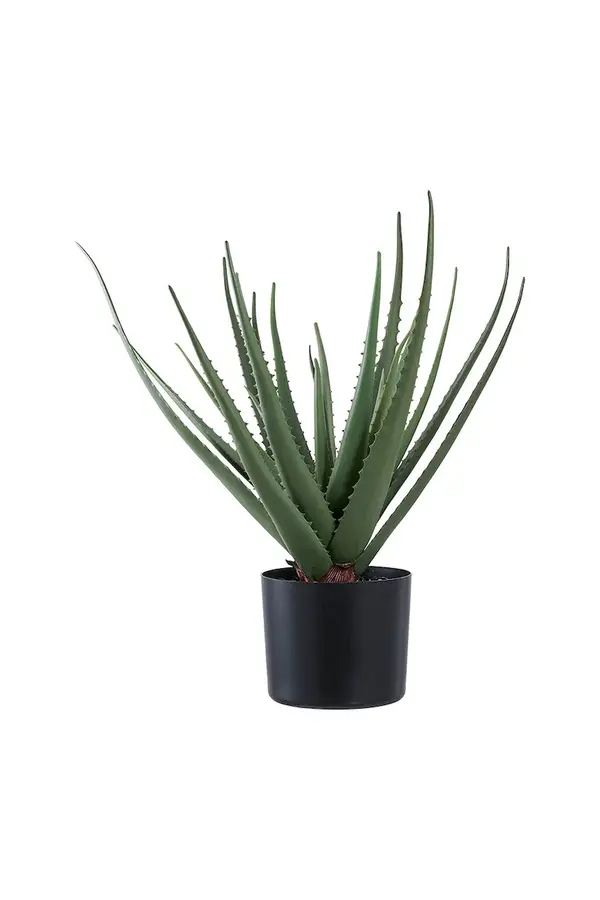 House Nordic Umetna rastlina v loncu House Nordic Aloe Vera