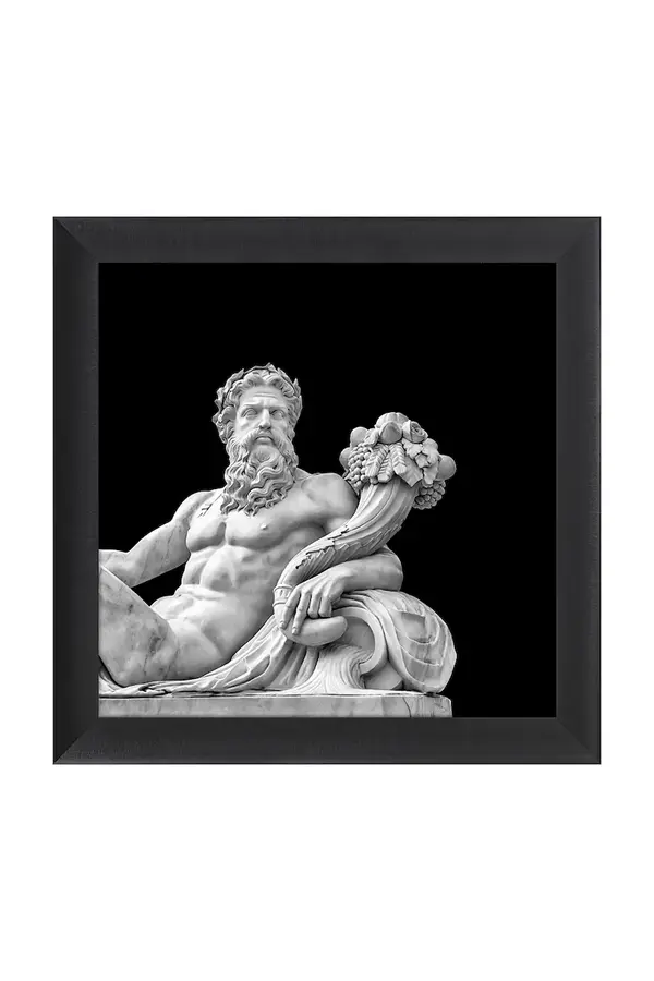 Uokvirjena stenska dekoracija home & lifestyle ZEUS 70 x 70 cm Uokvirjena stenska dekoracija home & lifestyle ZEUS 70 x 70 cm
