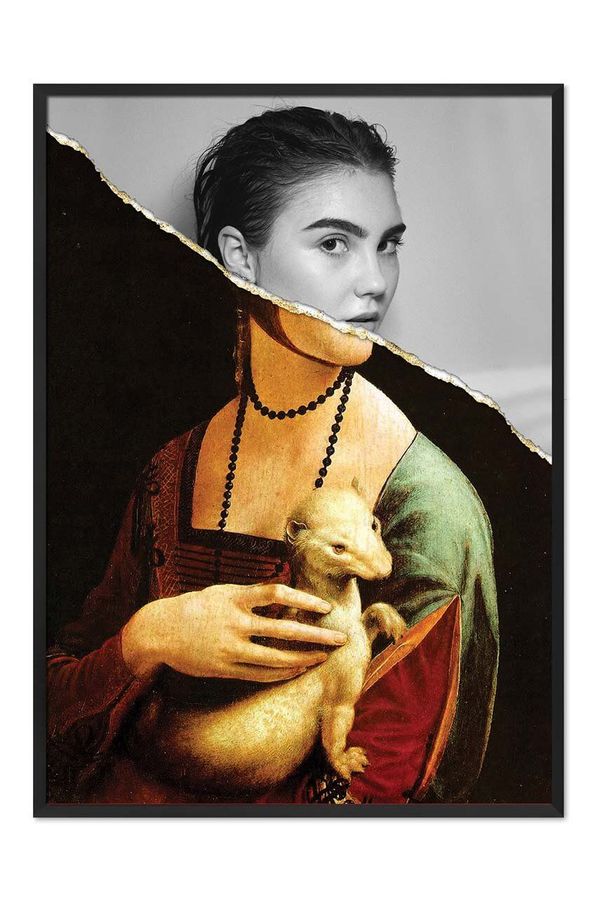 Inne Upodobitev Leonardo Da Vinci, Dama z gronostajem