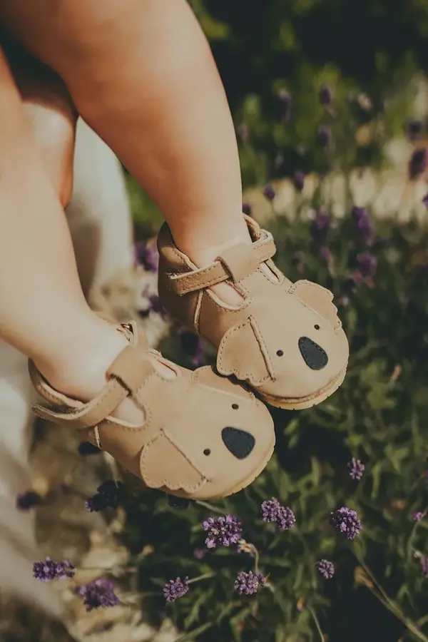 Donsje Usnjeni čevlji za dojenčka Donsje Spark Classic Shoes Koala