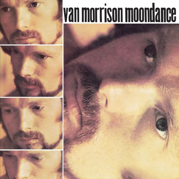 Warner MORRISON V.- 3LP/ MOONDANCE DELUXE LIMITED