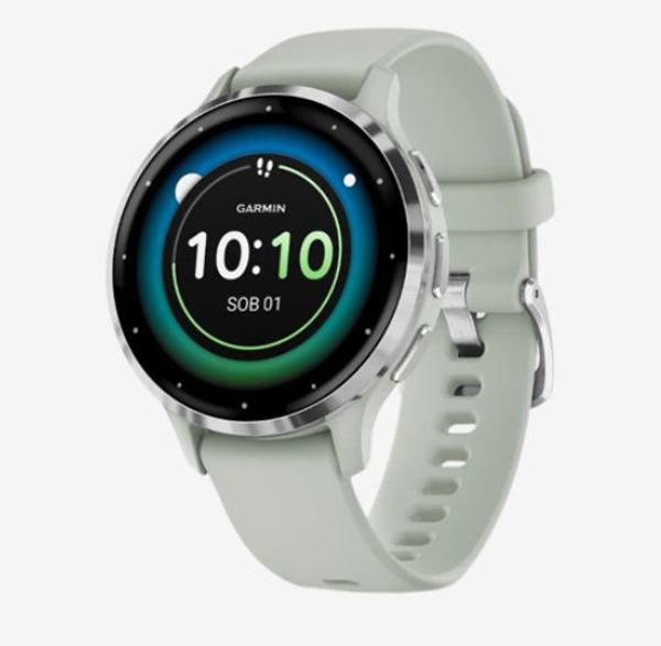 Garmin VENU 3S SAGE GREY/SILVER