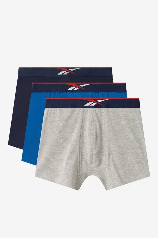Reebok Spodnje perilo Reebok JORDAN - AW24 (3-PACK) Mix