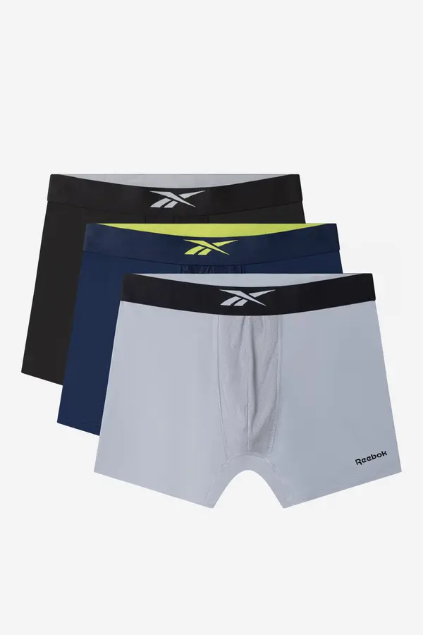 Reebok Spodnje perilo Reebok WARNER - AW24 (3-PACK) Mix