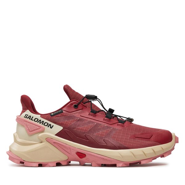 Salomon Čevlji Salomon Supercross 4 GORE-TEX L47316800 Cow Hide/Syrah/Blush