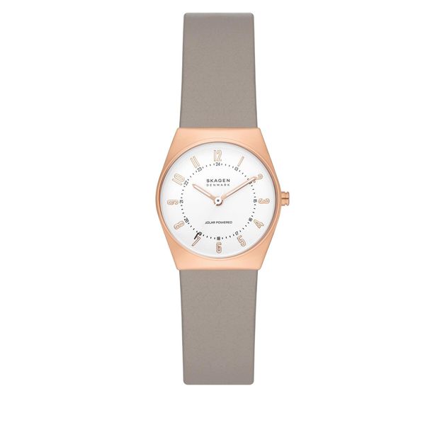 Skagen Ročna ura Skagen SKW3079 Zlata