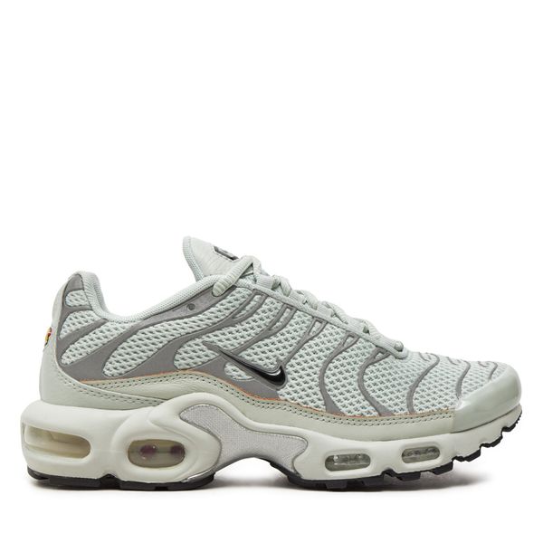 Nike Superge Nike Air Max Plus Siva