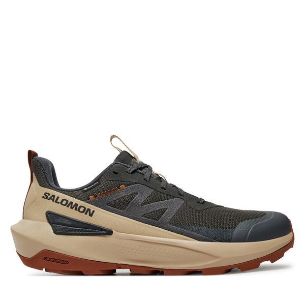 Salomon Superge Salomon Elixir Activ Gore-Tex L47560400 Siva