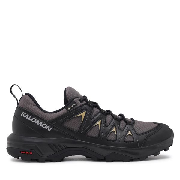 Salomon Superge Salomon X Braze GORE-TEX L47180500 Siva