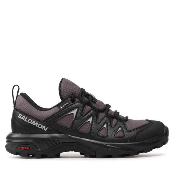 Salomon Superge Salomon X Braze Gtx GORE-TEX L47180700 Siva