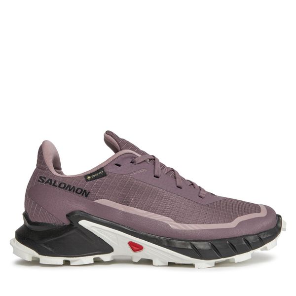 Salomon Tekaški čevlji Salomon Alphacross 5 Gtx W GORE-TEX 473110 23 W0 Vijolična