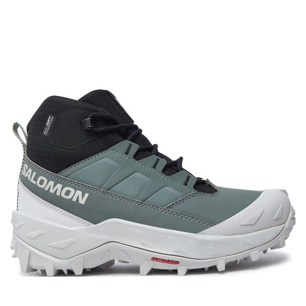 Salomon Trekking čevlji Salomon Crosstrak Waterproof L47570400 Zelena