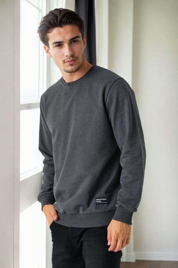 dewberry 64602 Dewberry Basic Crew Neck Mens Sweatshirt-ANTHRACITE