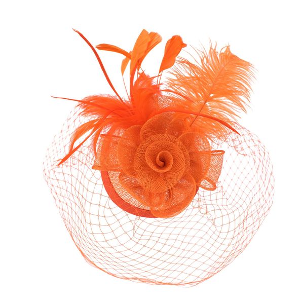 Art of Polo Art Of Polo Woman's Fascinator cz22175