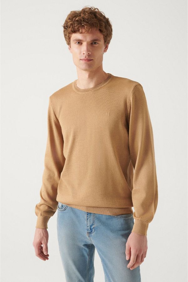Avva Avva Men's Beige Crew Neck Wool Blended Standard Fit Normal Cut Knitwear Sweater