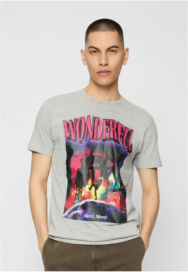 Mister Tee Beautiful T-shirt of gray color