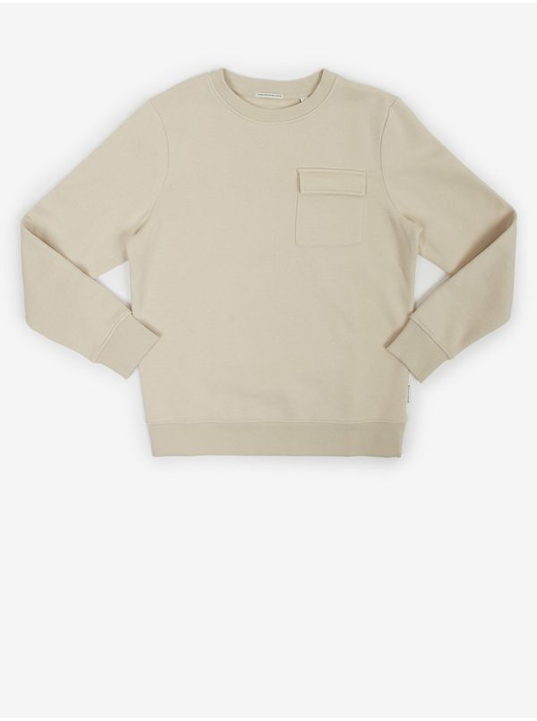 Tom Tailor Beige Boys' Sweatshirt with Tom Tailor Pocket - Boys
