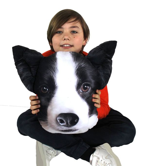 Bertoni Home Bertoni Home Unisex's Dog Pillow Lucky