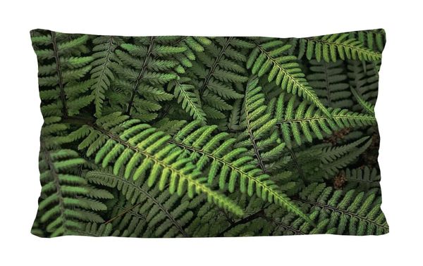 Bertoni Home Bertoni Home Unisex's Rectangular Pillow Ferns