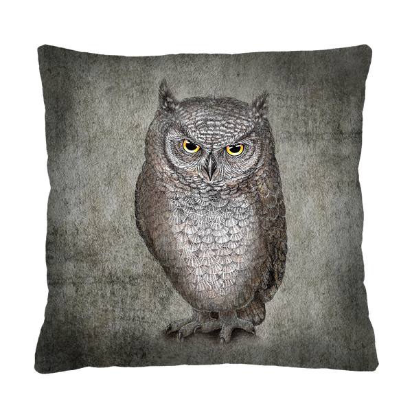 Bertoni Home Bertoni Home Unisex's Square Pillow Eleonora