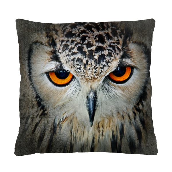 Bertoni Home Bertoni Home Unisex's Square Pillow Sybilla