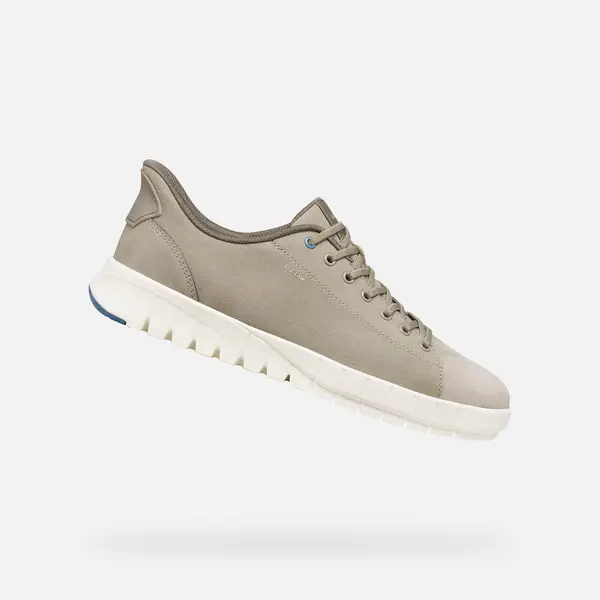 GEOX Bež moške superge Geox Flextride