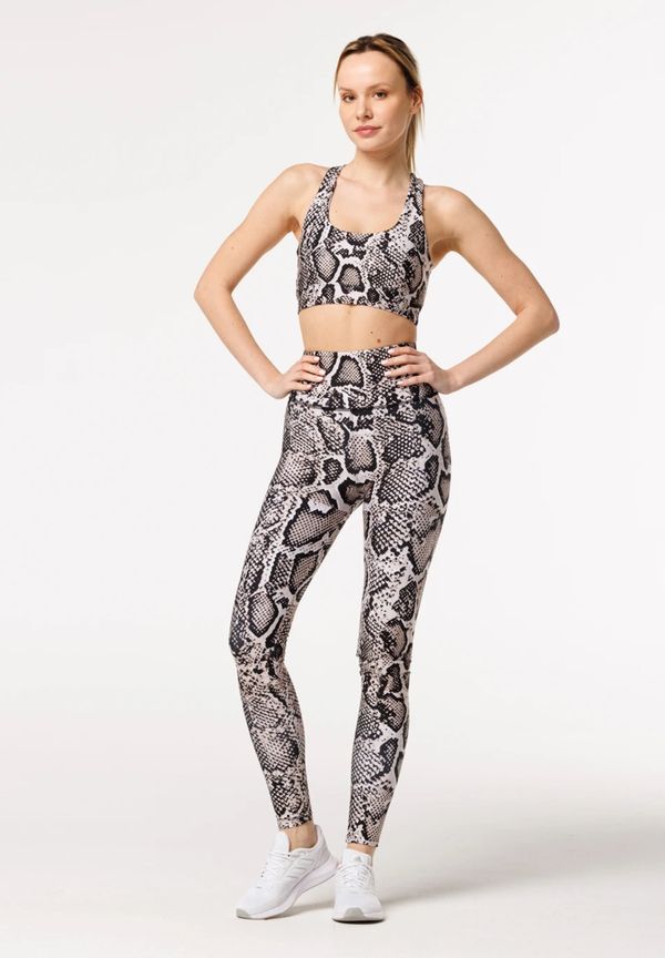 Bittersweet Paris Bittersweet Paris Woman's Snake Skin High Waist Leggings CPW-HL-PR BSP273