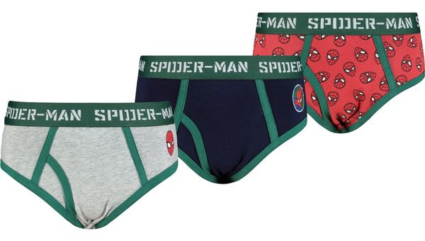 Licensed Boys briefs Spiderman 3P Frogies